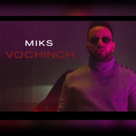 Vochinch MikS