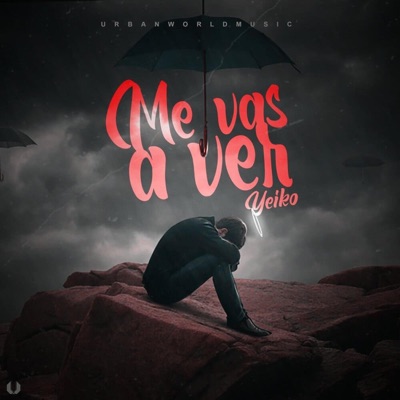 Me Vas a Ver (Yeiko) - Single