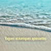 Vagues océaniques apaisantes: déconnecter et se détendre au son de la mer - Yella A. Deeken