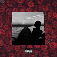 Roses (feat. Rino) - Single - Bri-C