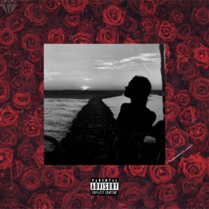 Roses (feat. Rino) - Single