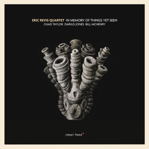 In Memory of Things yet Seen (feat. Chad Taylor, Darius Jones & Bill McHenry)