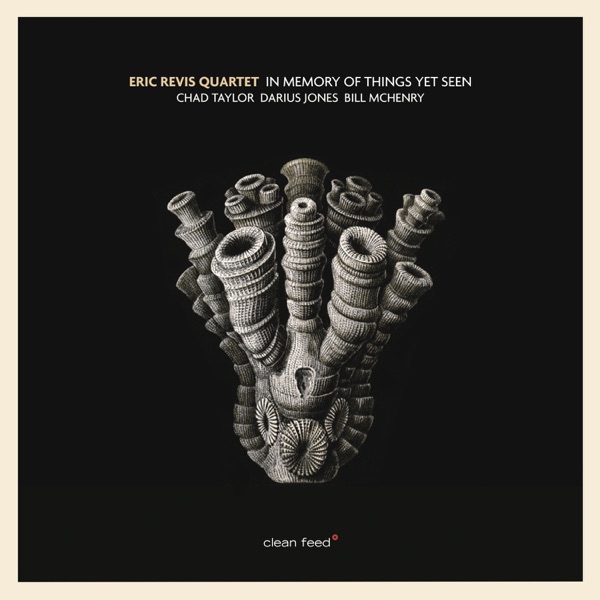 In Memory of Things yet Seen (feat. Chad Taylor, Darius Jones & Bill McHenry)