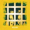 Mirror cover art