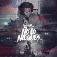 No Lo Niegues - Single - Victor Rosa