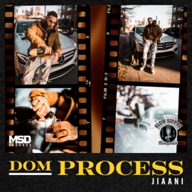 Picture Me Rollin' (feat. Anella Herim) Jiaani