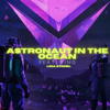 Astronaut In the Ocean (feat. Lina Strobl) [Mizta Decoder Remix] - Mizta Decoder new Single