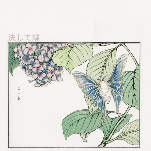 Never a Butterfly - EP