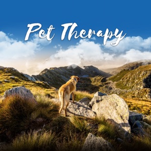 Pet Therapy - Cure for Separation Anxiety, Calms Down Your Dog While You Are Out