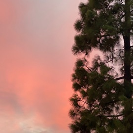 Run Away! killslumpy