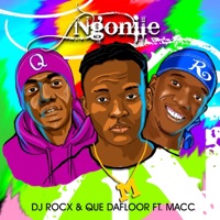 Ngonile (feat. Macc) - Single - Dj Rocx & Que Dafloor