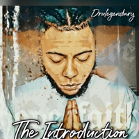 The Introduction - Single - Drulegendary