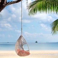 We Know - Single - Rasta