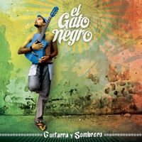 Guitarra y Sombrero - El Gato Negro