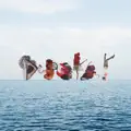  - ducks