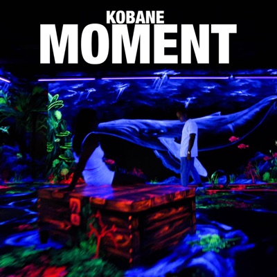 Moment - Single