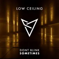 Sometimes — DONT BLINK