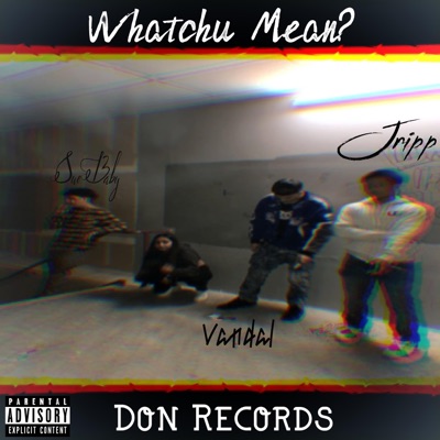 Whatchu Mean ? (feat. Vandal & Suebaby) - Single