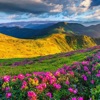 Ben Flower cover art