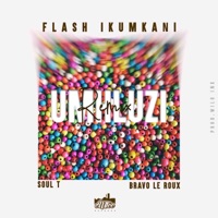 Mhluzi (Amaphinda) (feat. Bravo Le Roux & Soul T iDyan) [Remix] - Single - Flash Ikumkani