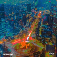 NIGHT IN CDMX (2livemafia Remix) - Single - Suave