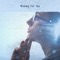 Big Country - Amazing Music lyrics