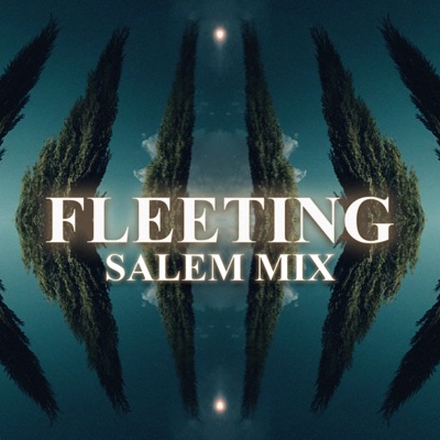 Fleeting (Salem Remix) - Single