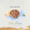 OSTRAS FERIDAS