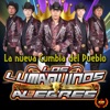 Las Aves Que Vuelan cover art
