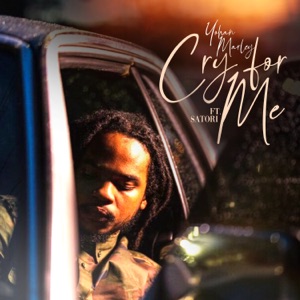 Cry For Me (feat. Satori) [Single]