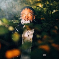 Life Is Gold 2 - Champagne Wody