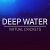 Virtual Crickets