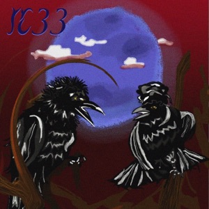 IC.33 - Single