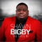 Love Lifted Me (Hymn) - Shawn Bigby lyrics