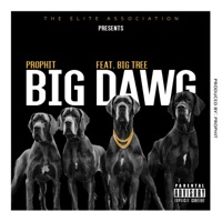 Big Dawg (feat. Big Tree) - Single - Prophit