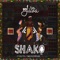 Shako (feat. DJ Yin & Isonilstrings) - Dj Java lyrics