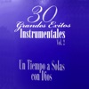 30 Grandes Exitos Instrumentales Vol.2 (Instrumental)