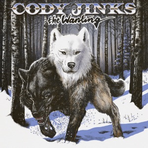 Cody Jinks - Same Kind of Crazy as Me - Line Dance Musik