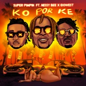 Ko Por Ke (feat. Nessy Bee & Idowest) artwork