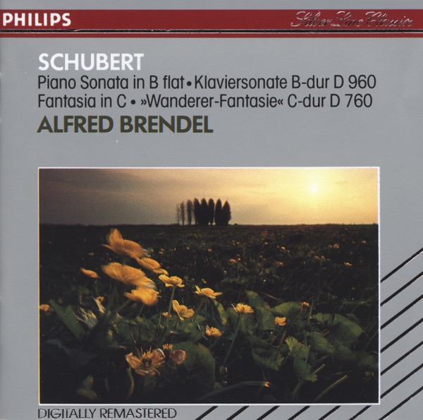 Schubert: Piano Sonata in B-Flat & Fantasy in C