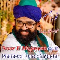 Shahzad Haneef Madni - Meri Dhachi De