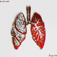 Lung Size - Single - Malewear