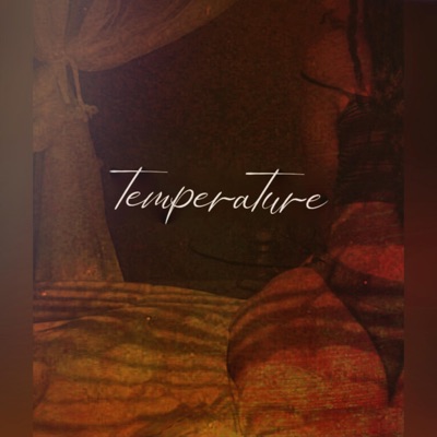 Temperature (feat. 2710 Squirt & Lissa Blair) - Single