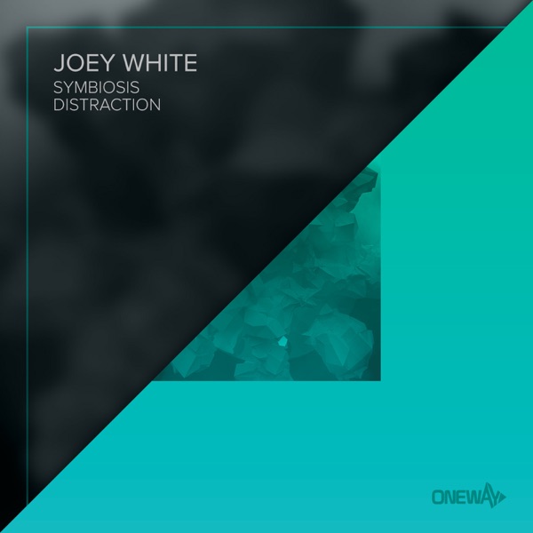 Symbiosis / Distraction - Single