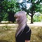 Make Believe - Single