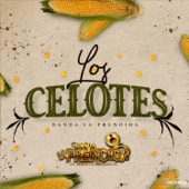 Los Celotes artwork