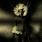 Wash the Love Away (feat. Gavin Clark) - UNKLE lyrics