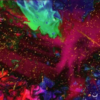 Love is a Business - Single - Jewel$ from the X