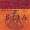 Bija: Soothing Music and Mantras - Todd Norian