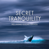 Calm Sea Ambient - Secret Tranquility: Relaxing Ocean Waves, Seagulls, Whale and Ambient Music for Well-Being with Nature Sounds bild